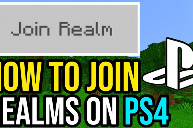 VIPmanYT Subscriber SMP Realm