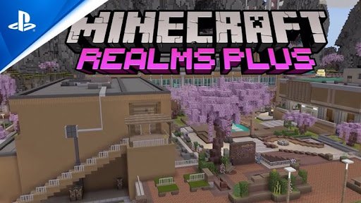 Playstation Survival SMP Realm